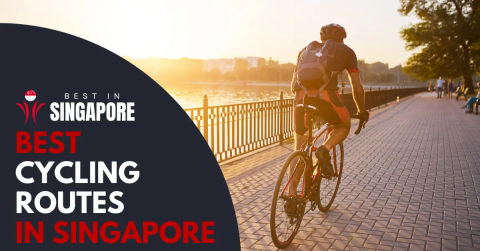 Best cycling route hot sale